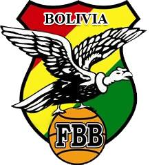 Bolivia 0-Pres Primary Logo iron on transfers for T-shirts